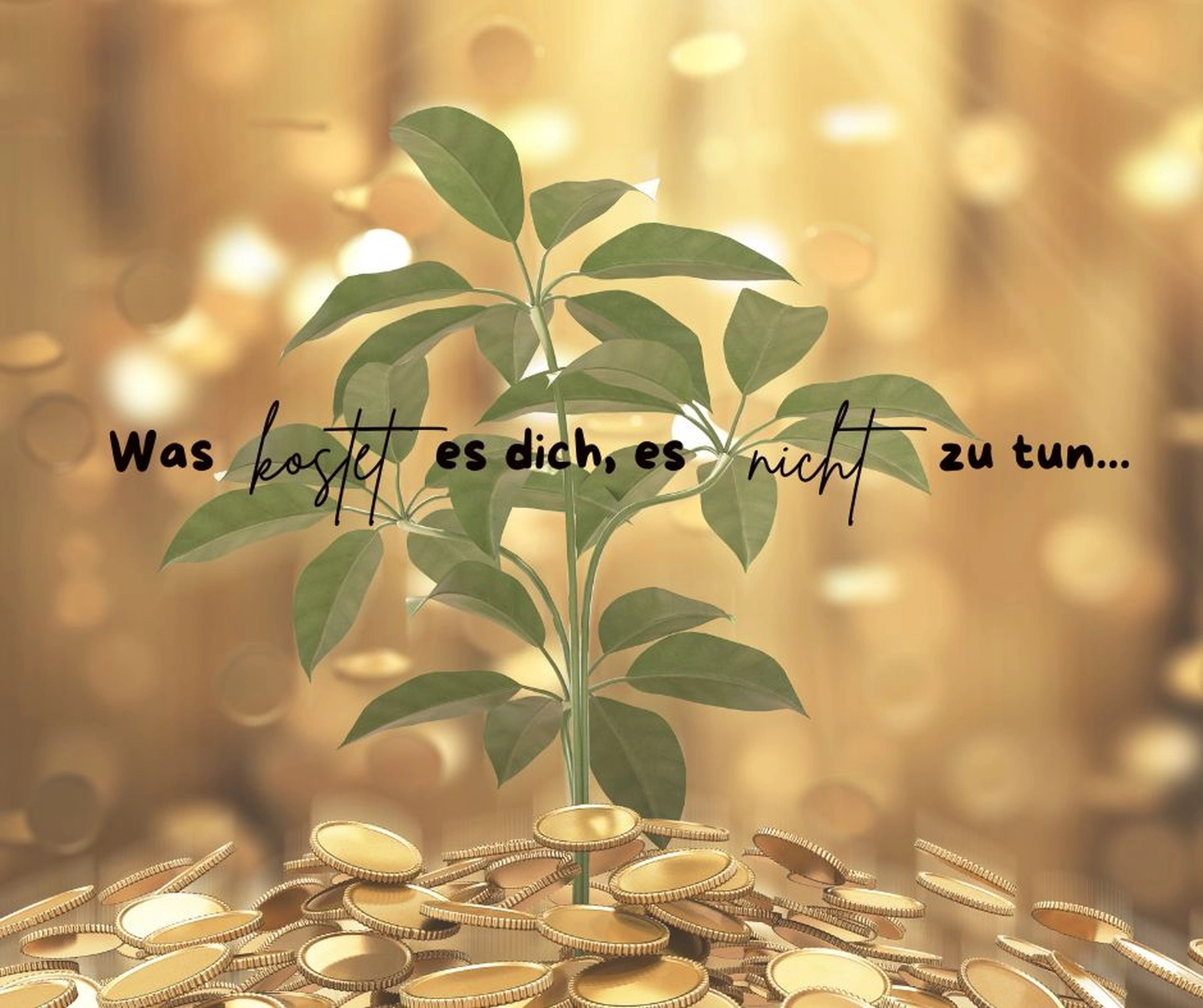 stress.coaching - Hypnose, Coaching, Seminare - Aus einem Haufen Goldmünzen wächst vor einem goldenen, verschwommenen Hintergrund ein kleiner Geldbaum.