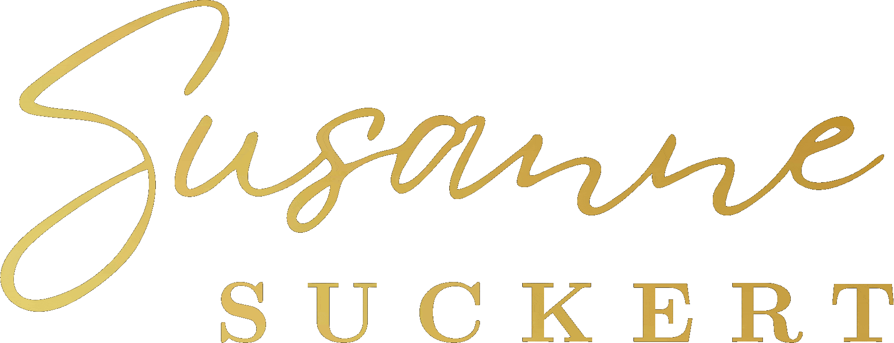 Logo stress.coaching - Hypnose, Coaching, Seminare